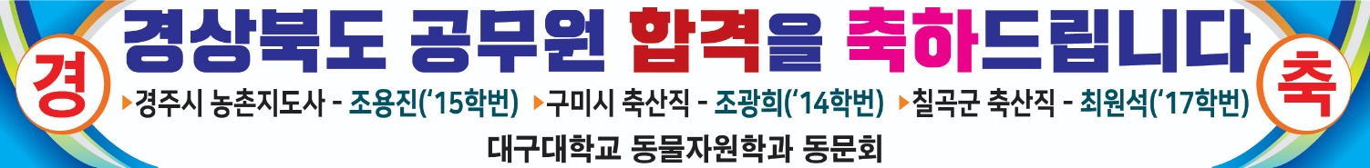경상북도 공무원 합격